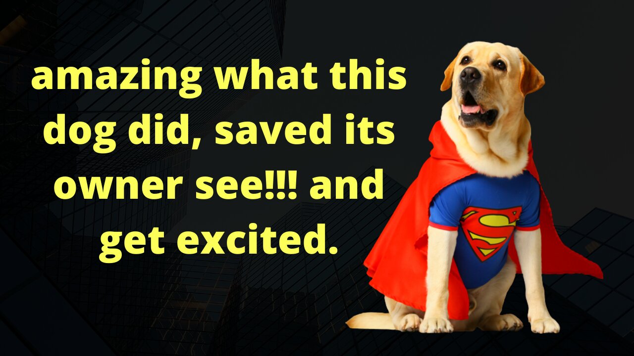 amazing what this dog did, saved its owner see!!! and get excited.