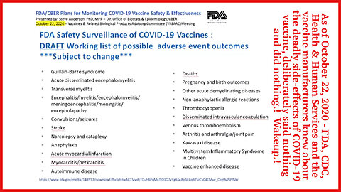 Karen Kingston & Dr. Joseph Sansone - Gov DeSantis Officially Served - Immediately Cease COVID...