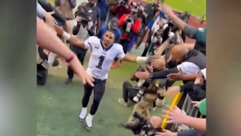 NFL Narrowly Avoids Disaster After Fans Fall On Broken Railing And Land Next To QB