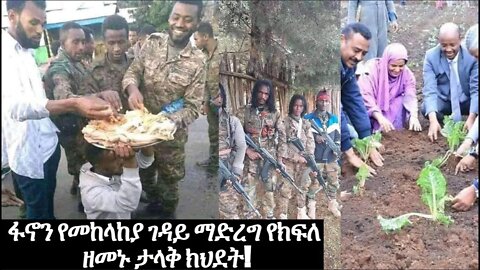 ፋኖን የመከላከያ ገዳይ ማድረግ የክፍለ ዘመኑ ታላቅ ክህደት