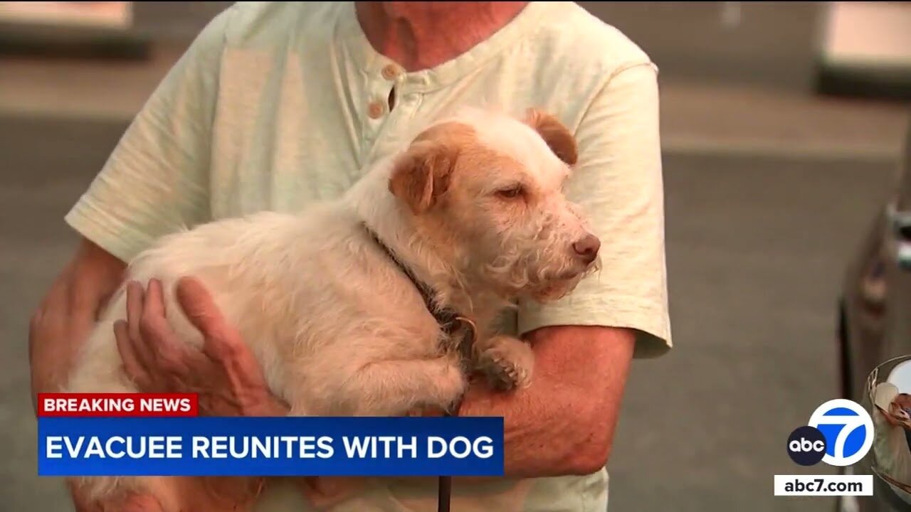 Man slept in car overnight waiting to be reunited with dog after fire evacuation