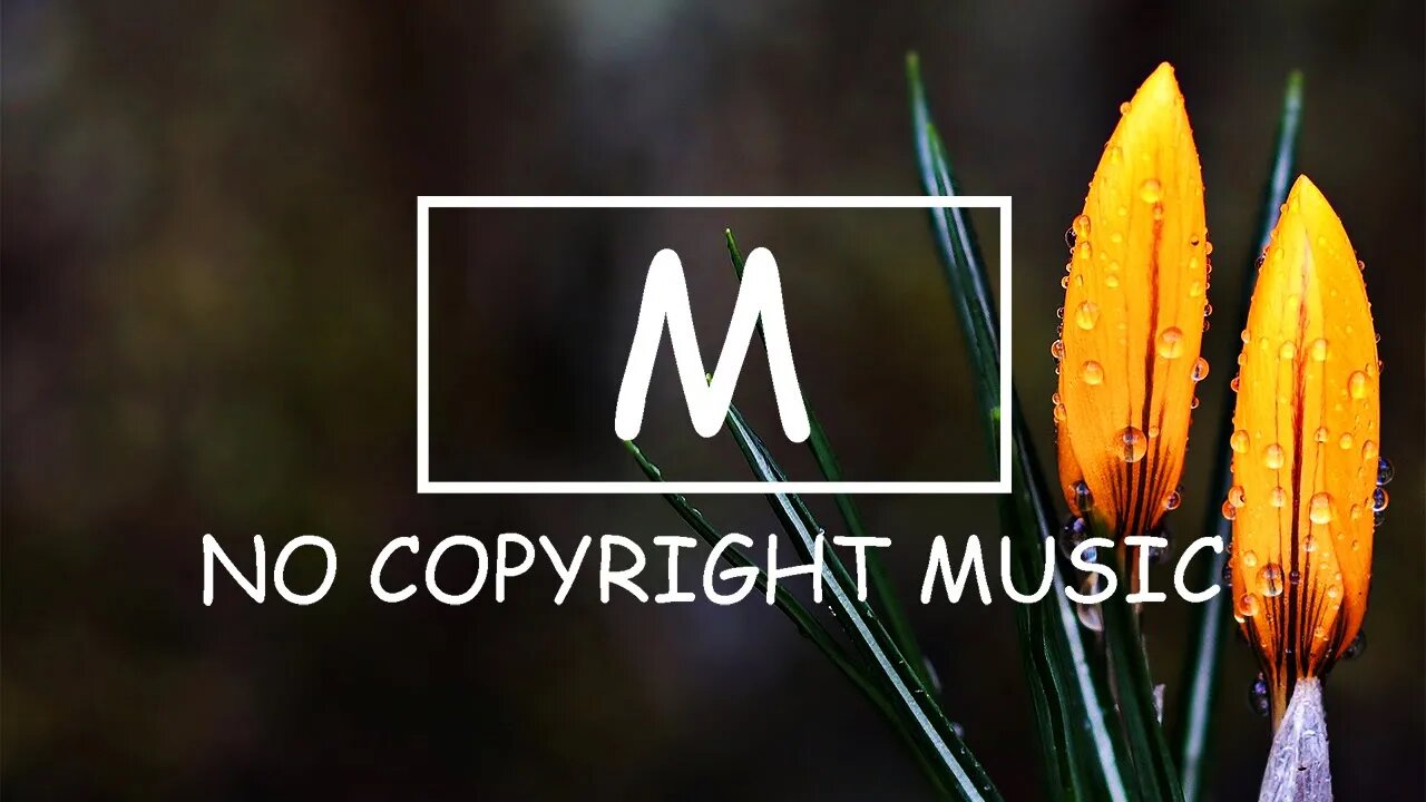 Ikson - Perfect（Mm No Copyright Music）