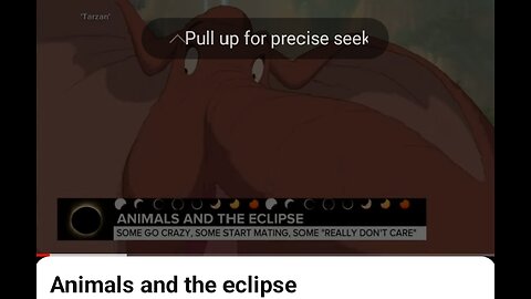 Animal and the eclipse