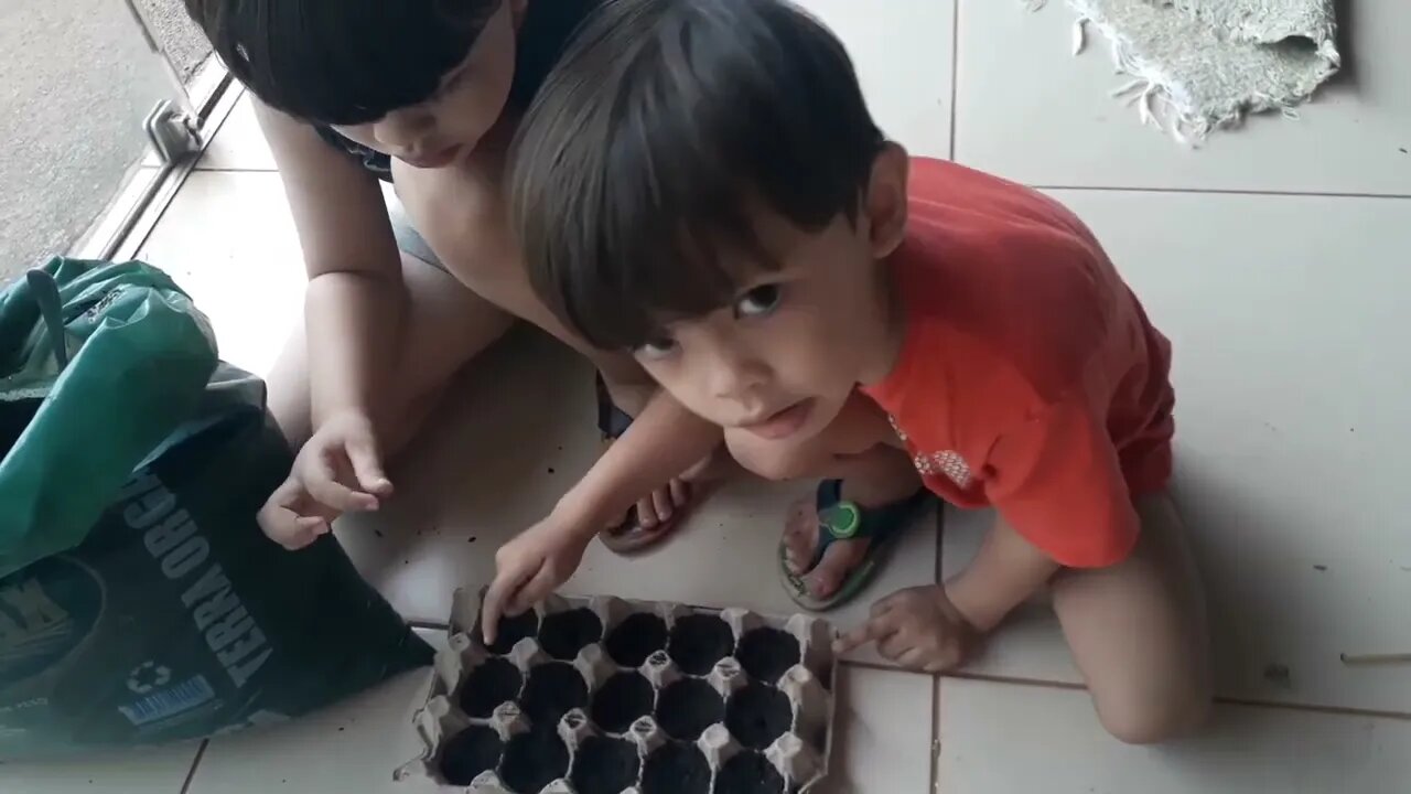 A Sementeira das Crianças, semeando morango e erva doce.