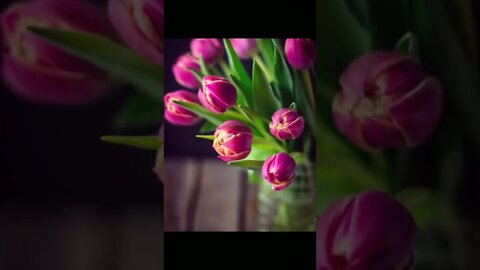 Beauty of nature