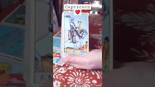 Capricorn ♥️ They Are Going Crazy Capricorn #tarot #tarotreading #zodiac #soulmate