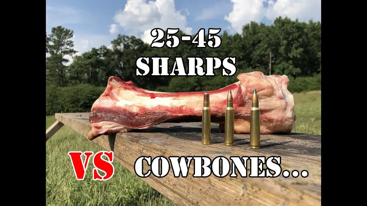 25-45 Sharps vs... Cow bones