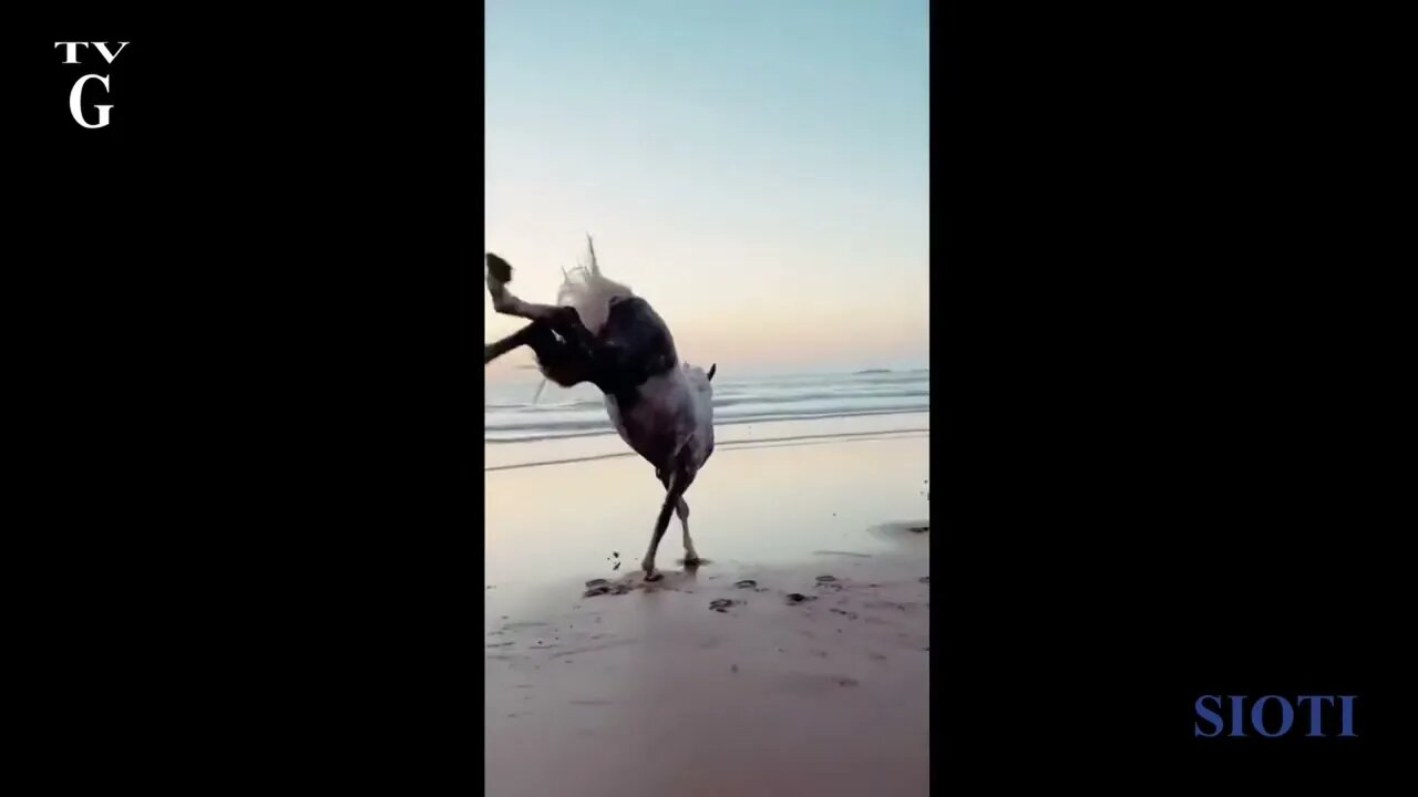23 August