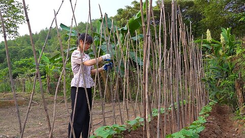 tending the vegetable garden and cooking dinner