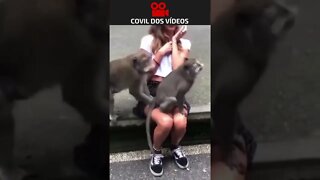 virou motel de macaco kkkk