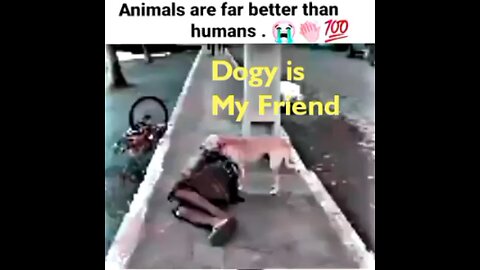 Do you like this video ?