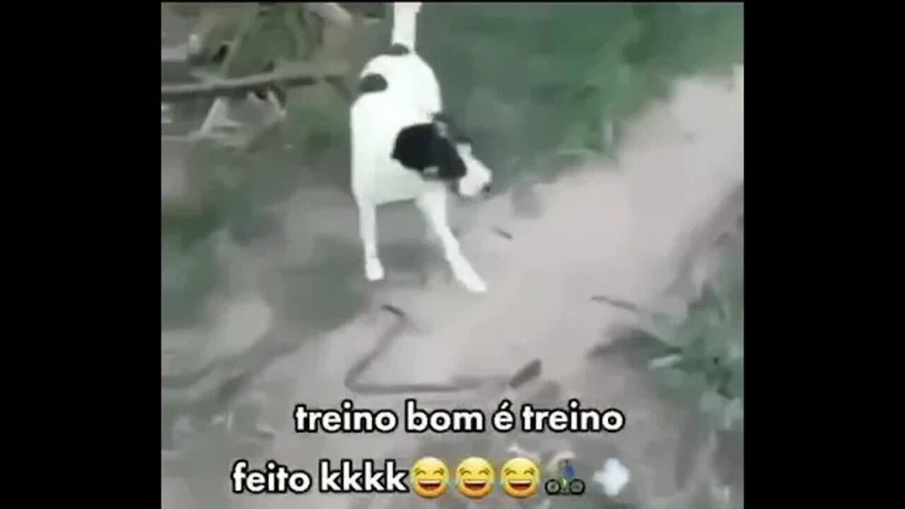 TO MORRENDO DE RIR ATE AGORA PENSA NUM TREINO DE MTB TOP ( MEME ) ( VIRAL ) ( MTB ) #shorts