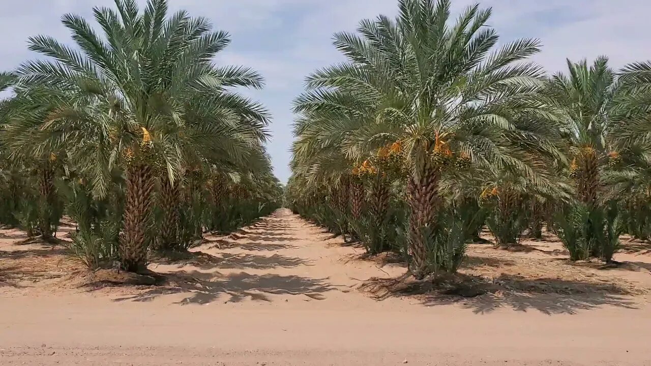 YUMA ARIZONA ESTADOS UNIDOS DE AMERICA COUNTY RD 19 AVE A AVE B