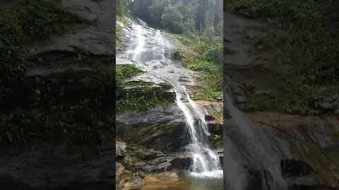 Tijuca National Park, Brazil | Cascatinha Taunay