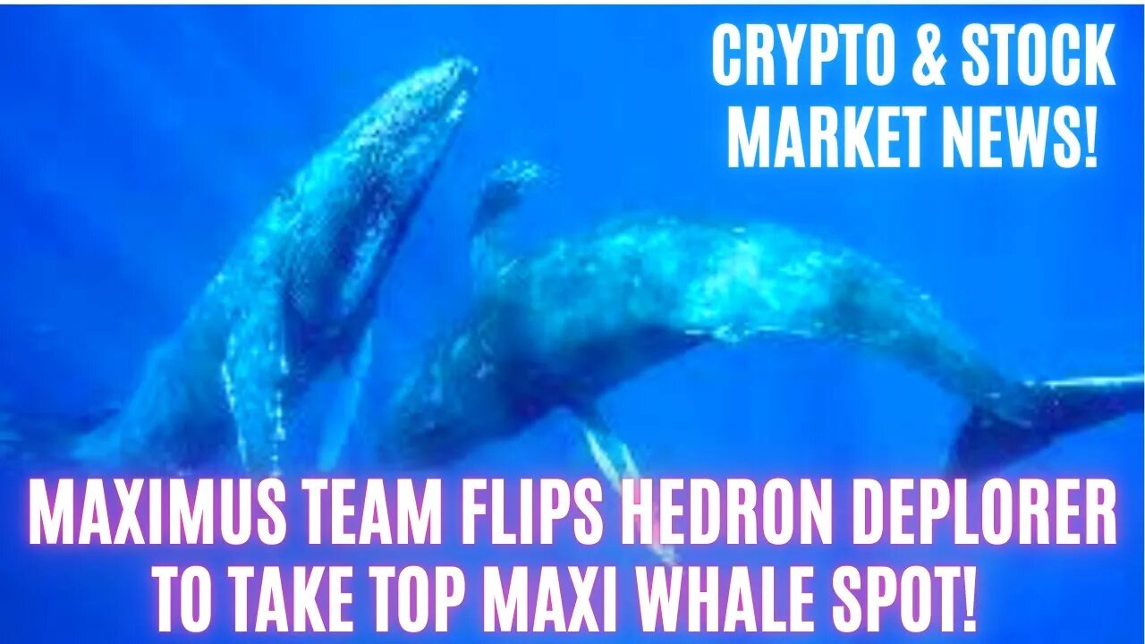 Maximus Team FLIPS Hedron Deplorer To Take Top Maxi Whale Spot! Crypto & Stock Market News!