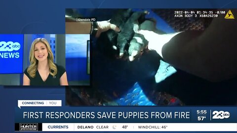 Check this Out: Puppies rescued from fires in two cities