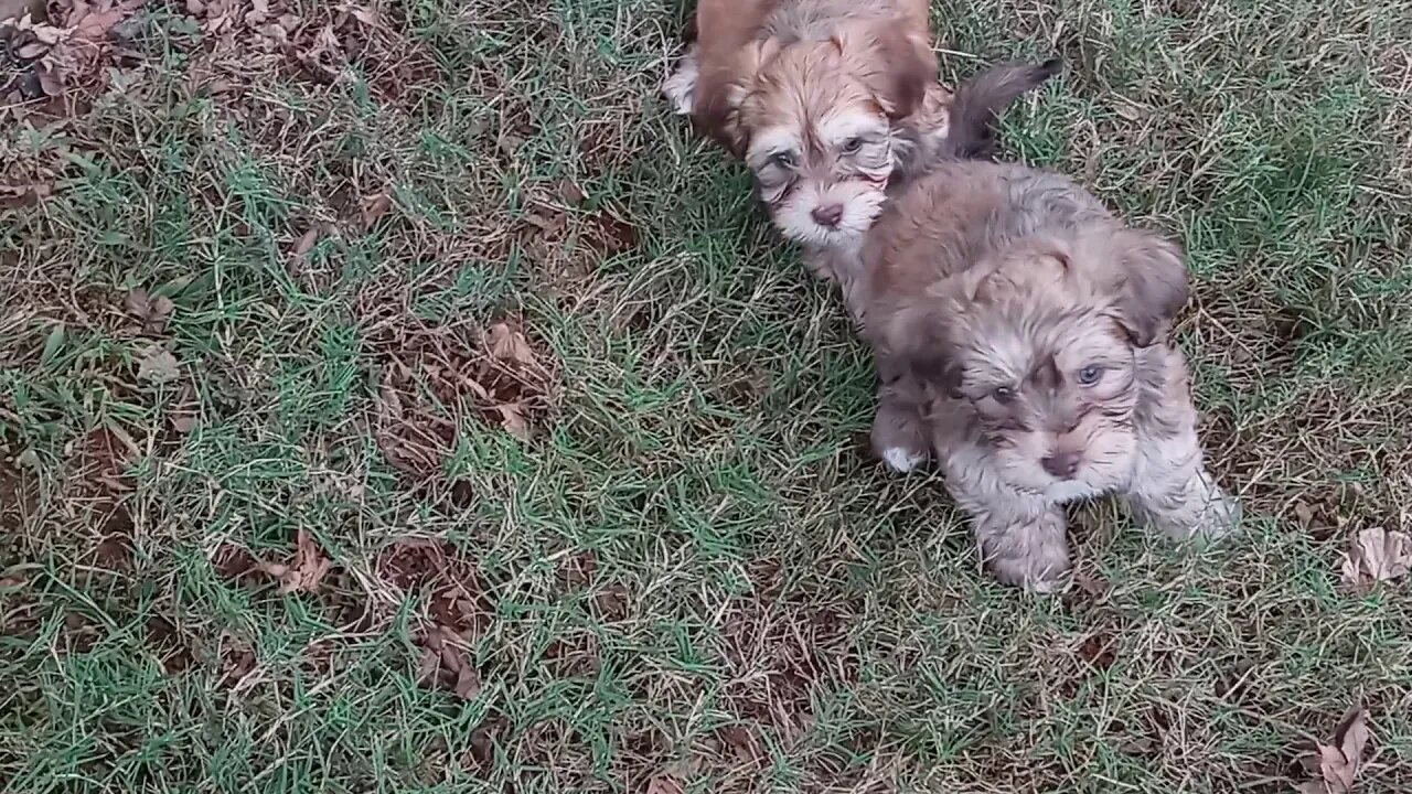 J Litter-Outside Fun [10/27](1)