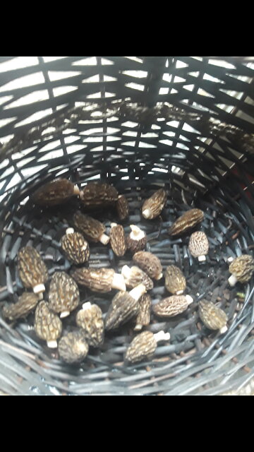 MOTHER'S DAY HIDDEN LAKE ALASKA