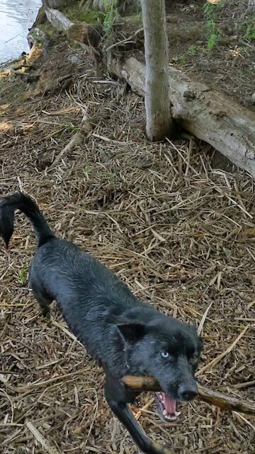 Summer is short. Were making the most of it!