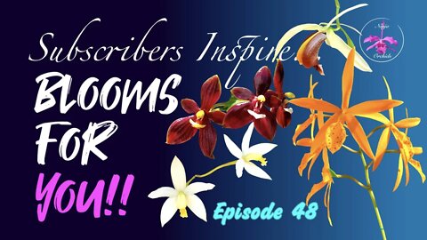 SUBSCRIBERS INSPIRE| You color my life | Blooms for YOU! Episode 48 🌸🌺🌼💐#Orchids #OrchidsinBloom