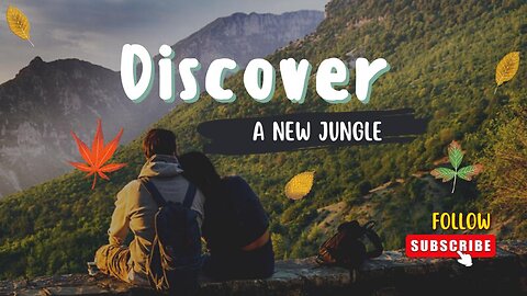 We discovered a jungle