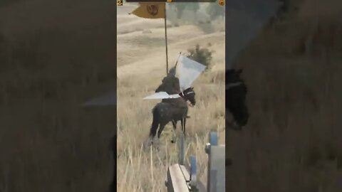 Mount & Blade II: Bannerlord Mods TikTok Gaming PC Clips 2022 134K Followers 3.4M Likes 100M Views