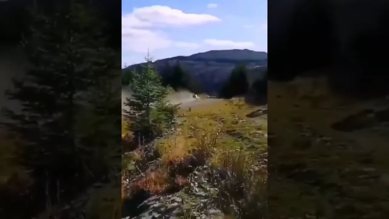 Canal=Léo Sócrates