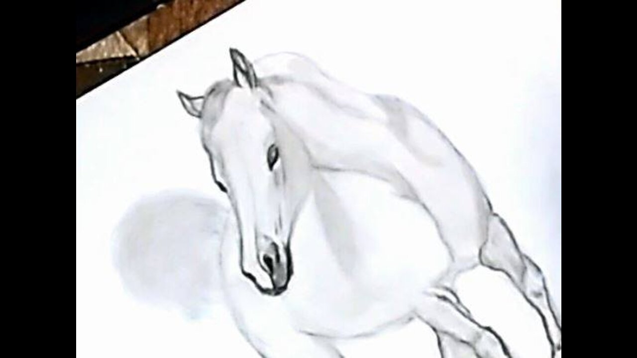 Drawing a white horse