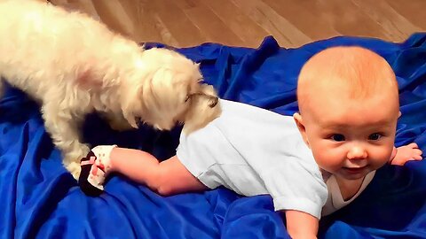 Adorable babies playing with dog