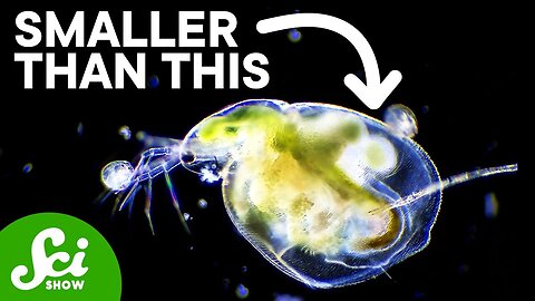 How to See Really Tiny Things Without Killing Them