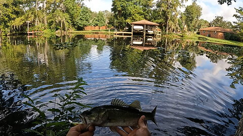 Jax, Florida: Brackish Water Largemouth