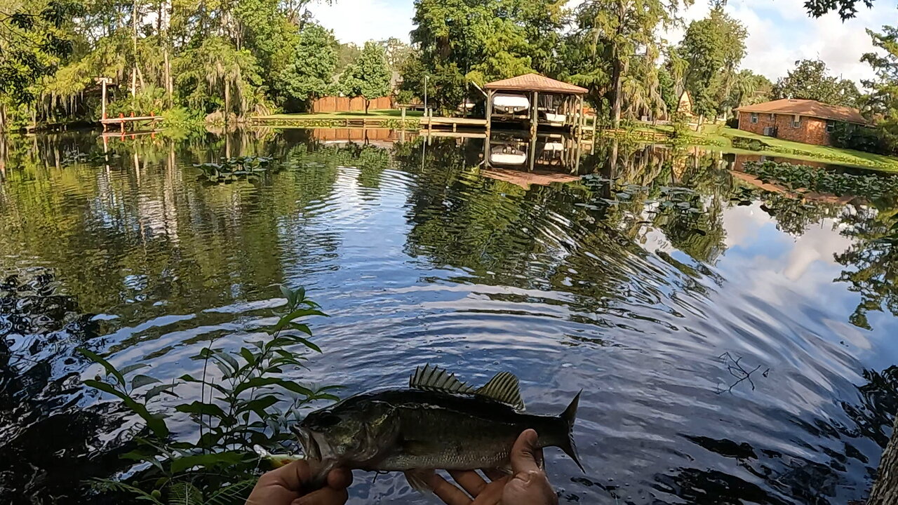 Jax, Florida: Brackish Water Largemouth