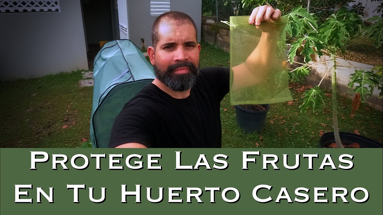 Protege Tus Frutas Contra Las Plagas En Tu Huerto