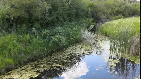 North Dakota Coulee Summer 2020
