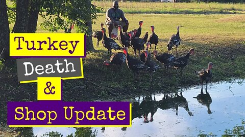 Turkey Walk, Death Talk And Workshop Plans