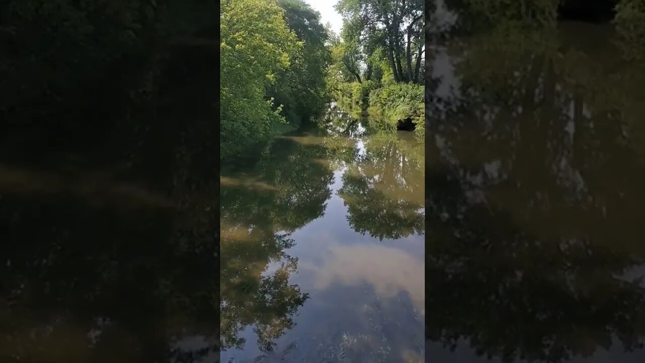 overhead shot of river.