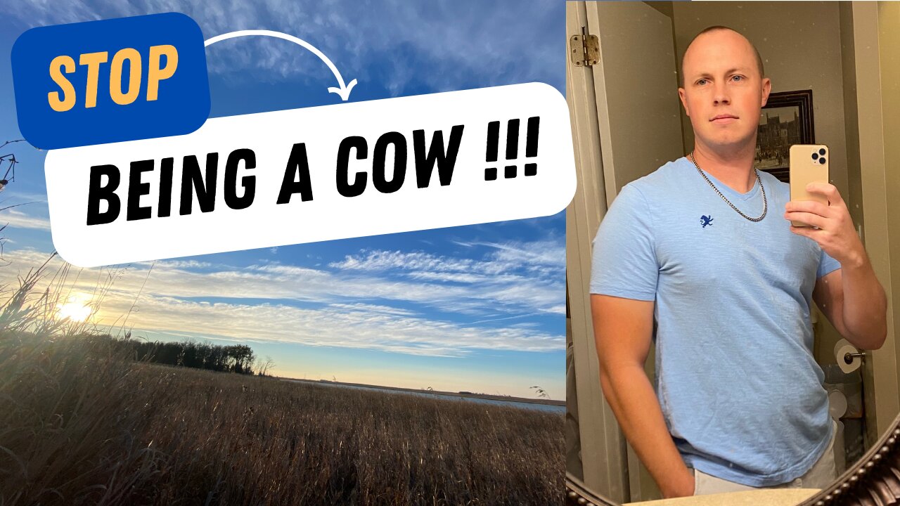#27 - Stop Being A Cow