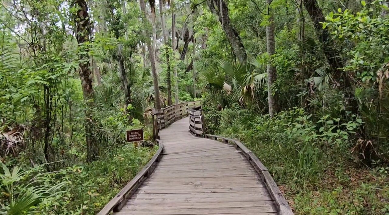 30. Traveling Florida, Atlantic Ocean, Blue Spring, Bulow Sugar Mill #travelvideos #solotravel #minivan