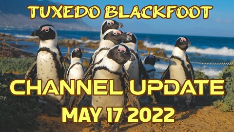 Channel Update – May 17 2022