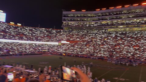 The Swamp