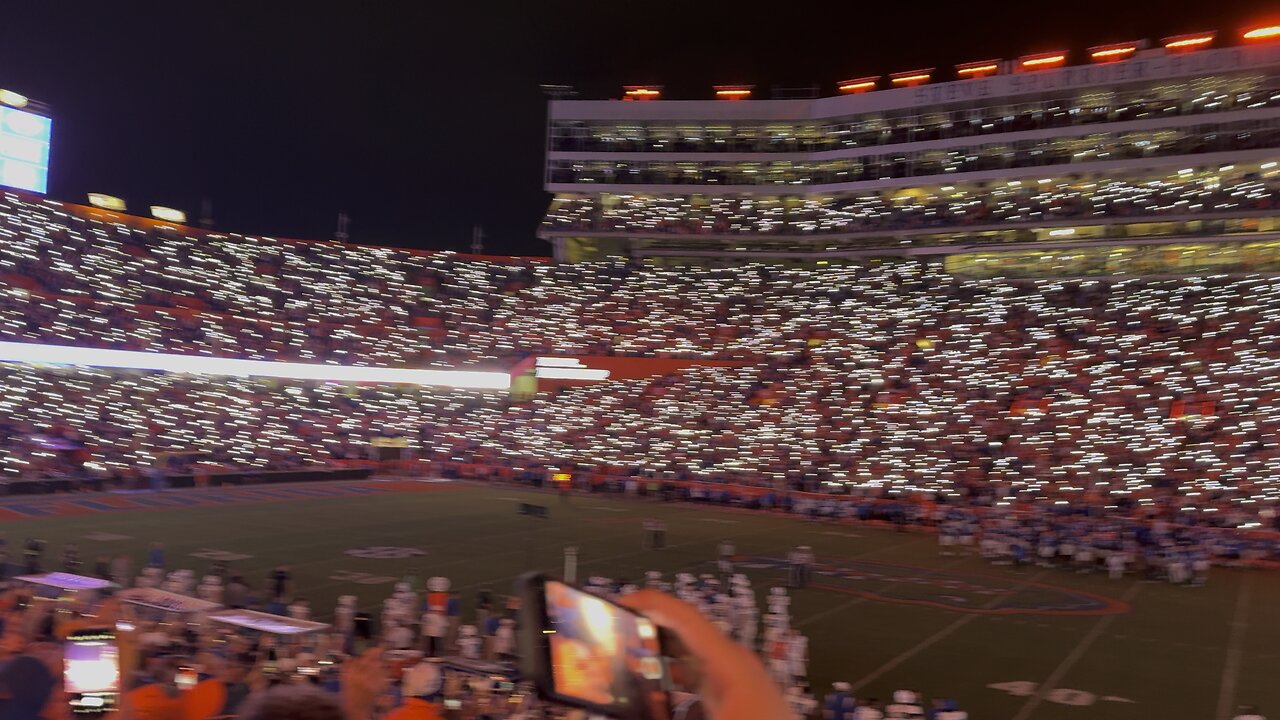 The Swamp