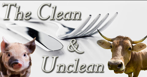 Is there still CLEAN AND UNCLEAN Animals??