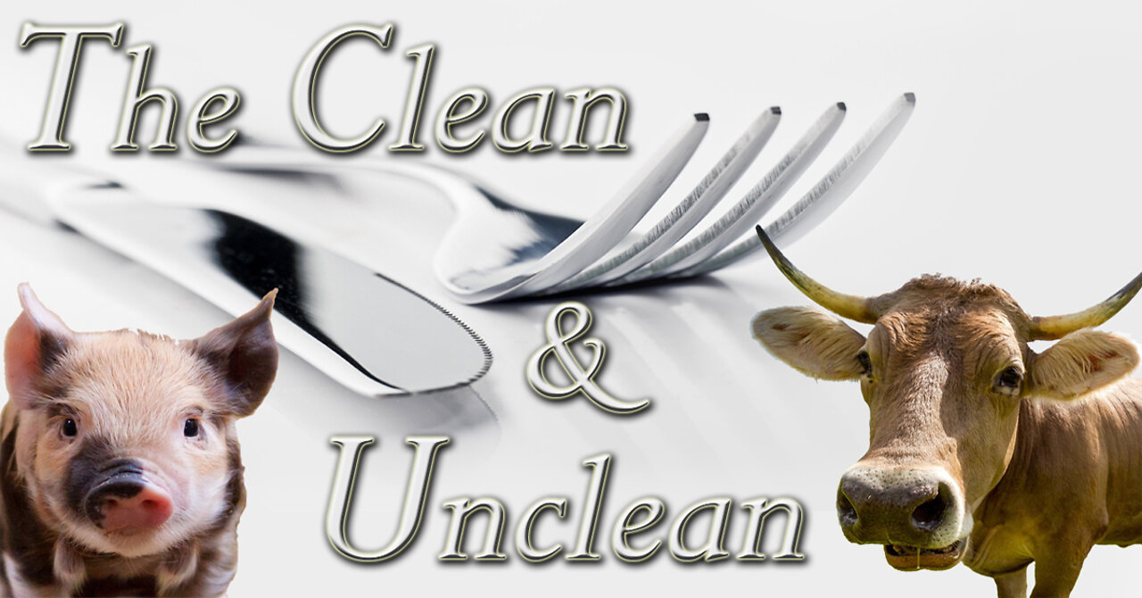 Is there still CLEAN AND UNCLEAN Animals??