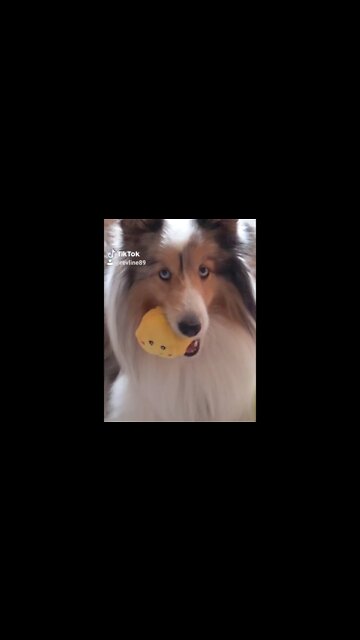 Your my honey bunch... The Apple Of My Eye! #shorts , #fyp