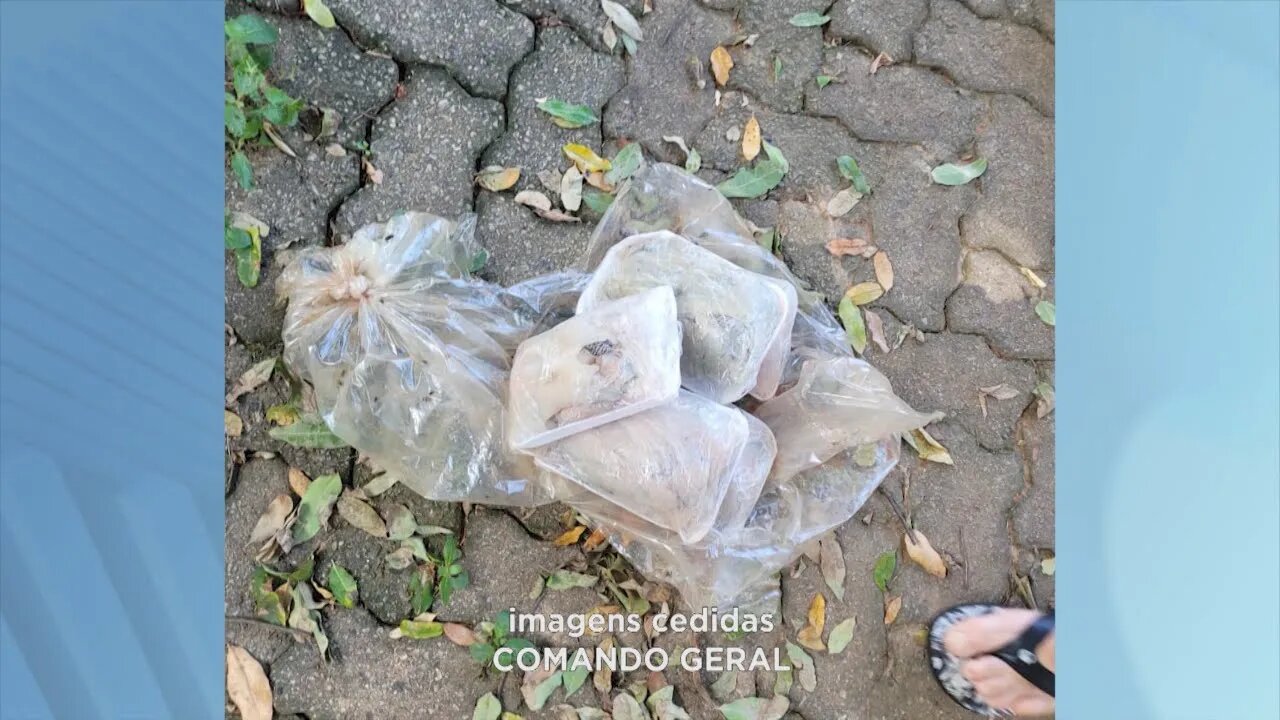 Caminhão com carga de pescado irregular apreendido em Gov. Valadares