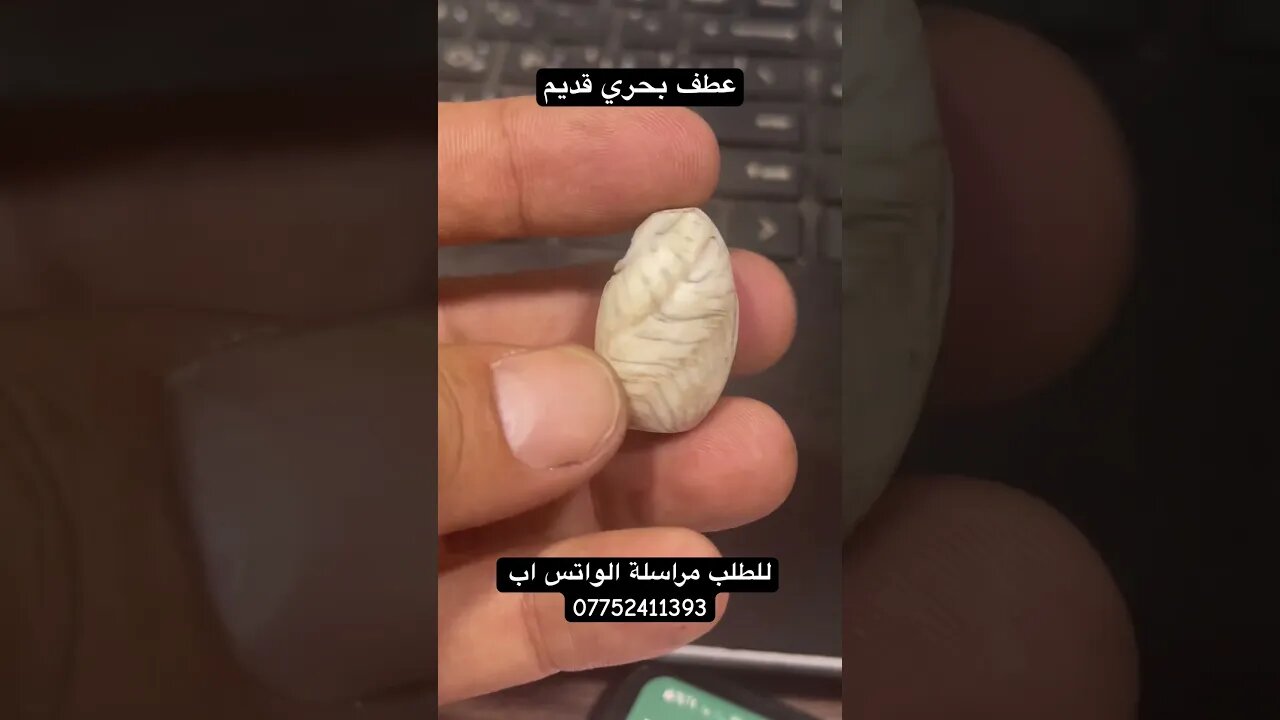 عطف بحري