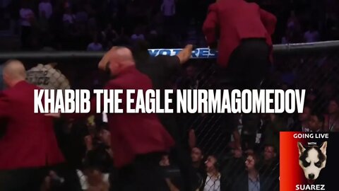 #shorts when #fighters live their #nicknames #ko #punch #fight #mma