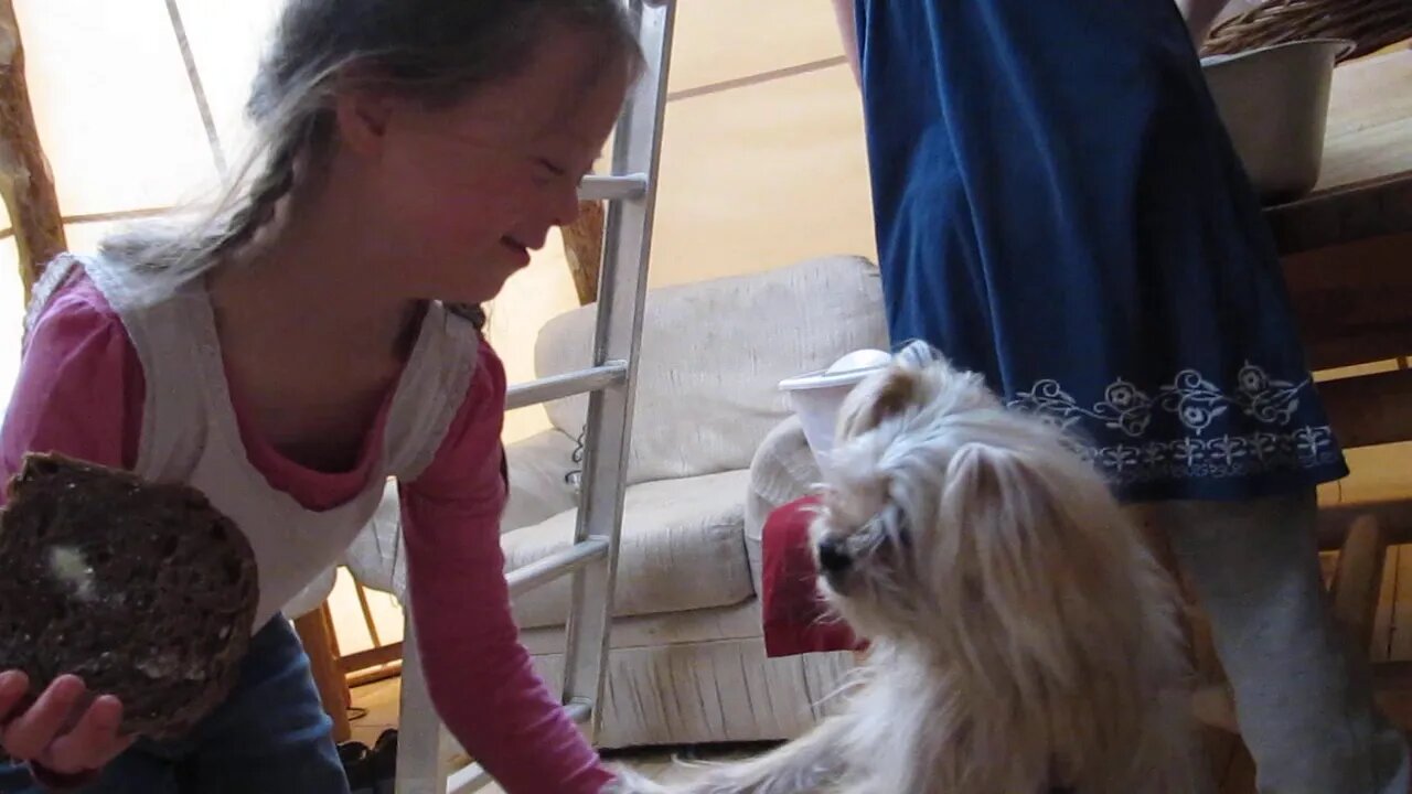 Breakfast with the puppy by the fire