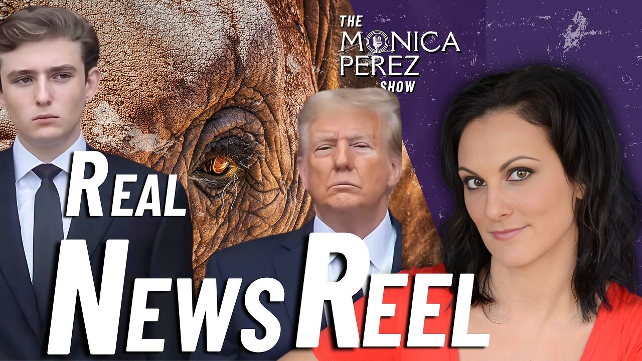 Now They're Eating Elephants & Snakes! President God & His Crown Prince; AI DEIs HyperReality