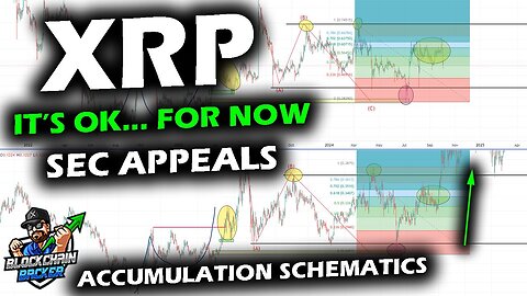 XRP PRICE CHART as SEC Files Appeal Against Ripple, Price Sits within Support Range, Looking Ahead